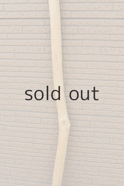 画像3: 幹流木・長尺 (3)