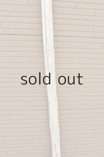 画像3: 幹流木 (3)