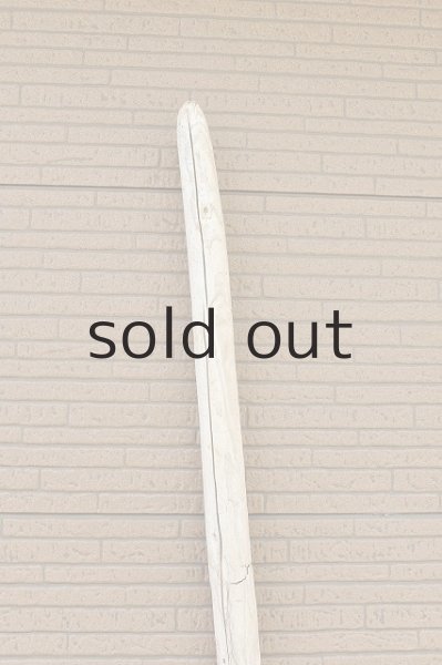 画像4: 幹流木 (4)