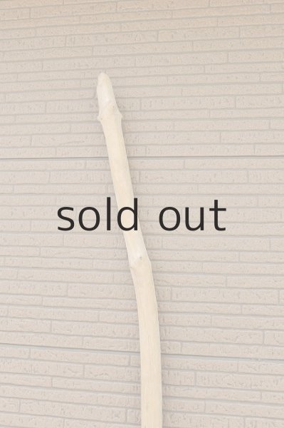 画像4: 幹流木・長尺 (4)