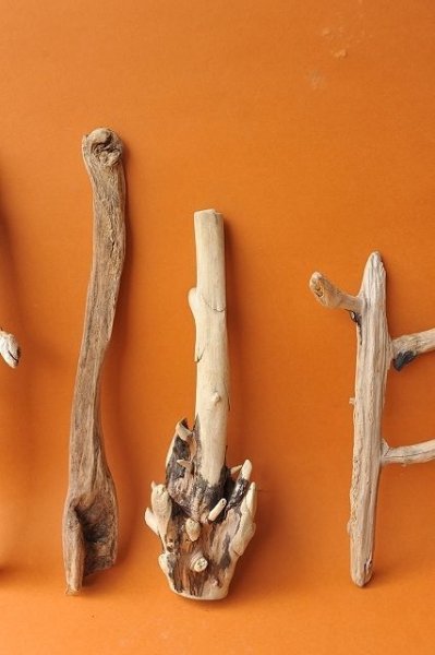 画像3: 小枝流木セット (3)