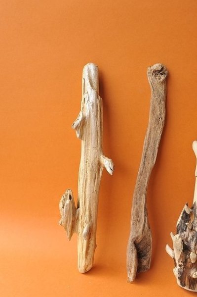 画像2: 小枝流木セット (2)