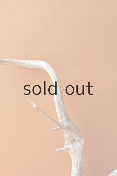 画像4: 流木根・中型 (4)