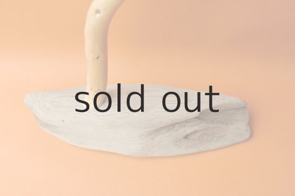 画像2: インフォメーションボード (2)