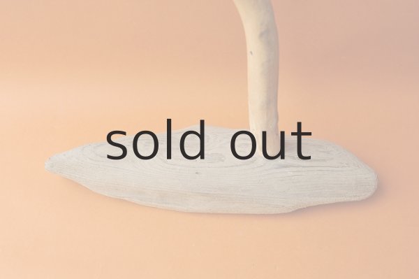 画像3: インフォメーションボード (3)