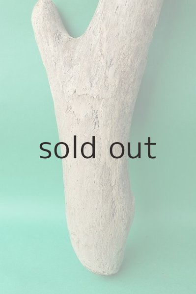 画像2: 幹流木 (2)