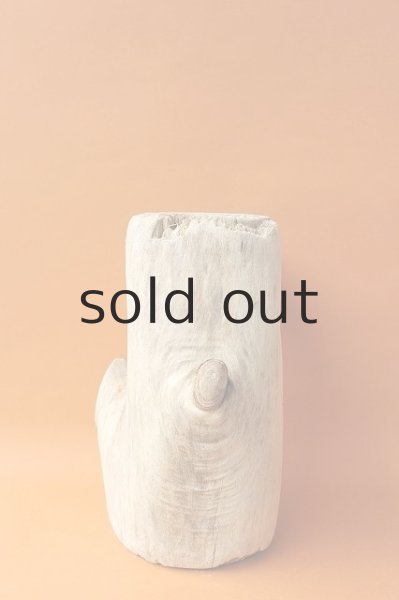 画像4: 幹流木 (4)