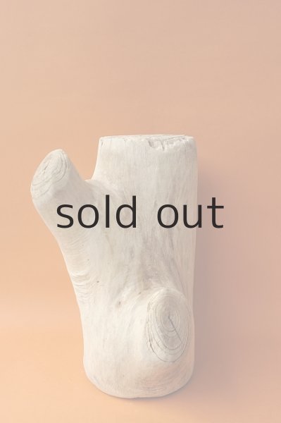 画像3: 幹流木 (3)