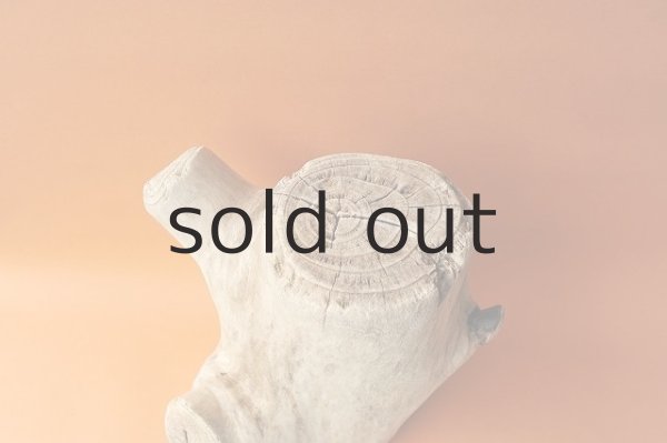 画像2: 幹流木 (2)