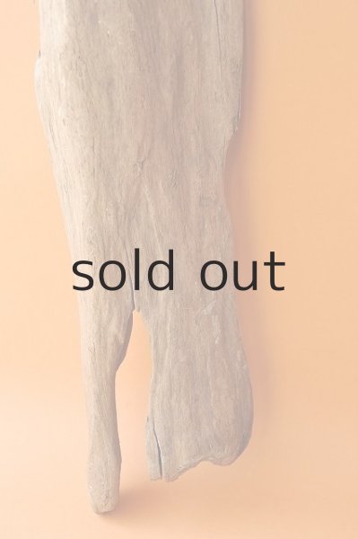 画像2: 大型 変形 (2)