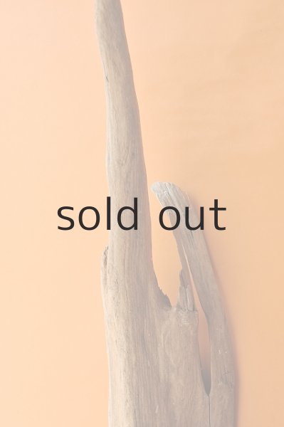 画像4: 大型 変形 (4)