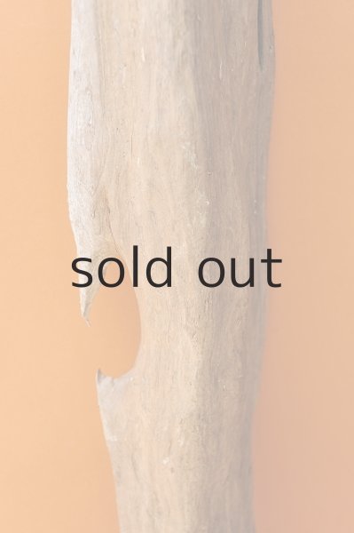 画像3: 大型 変形 (3)