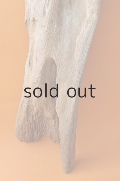 画像5: 大型 変形 (5)