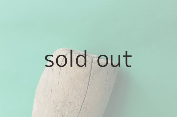 画像3: 大型 幹 (3)