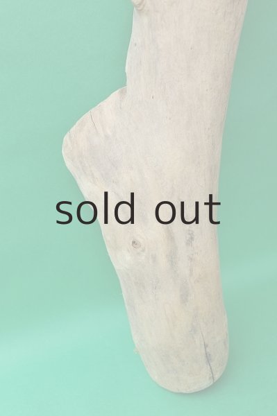 画像2: 大型 幹 (2)