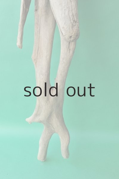 画像2: 大型 根 (2)