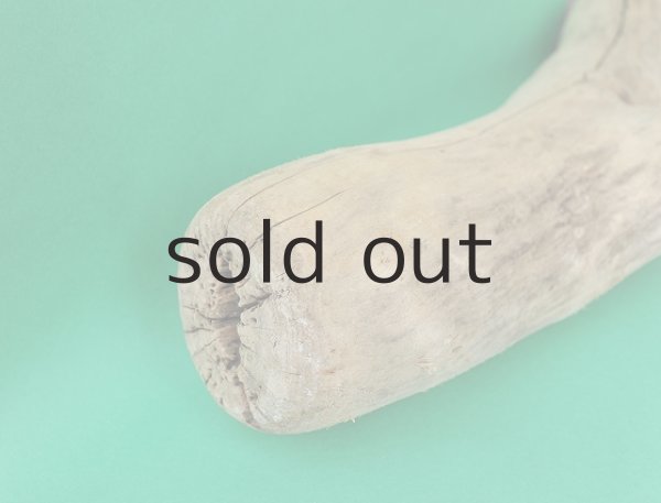 画像5: 大型 幹 (5)