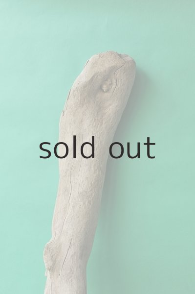 画像5: 大型 根 (5)