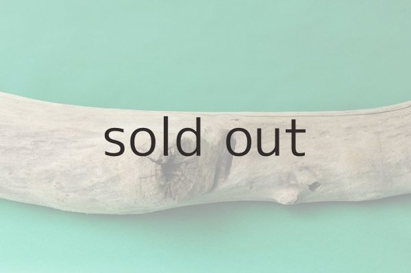 画像4: 大型 幹 (4)