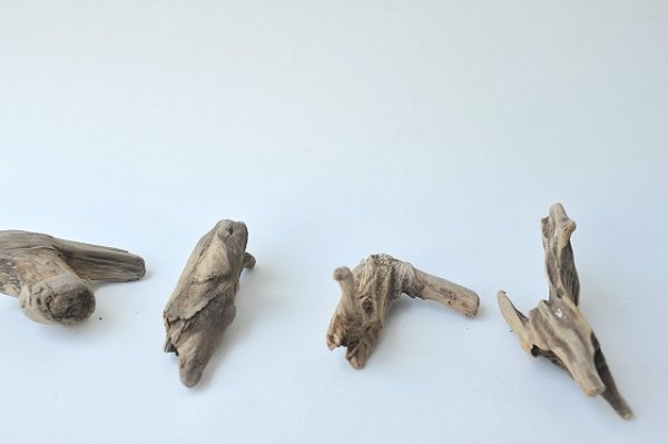 画像2: 変形流木セット (2)