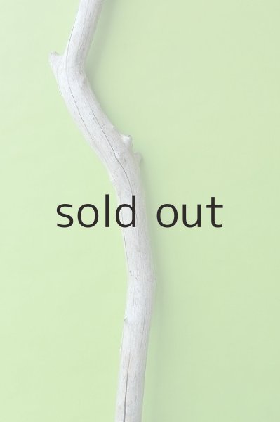 画像3: 幹流木 (3)