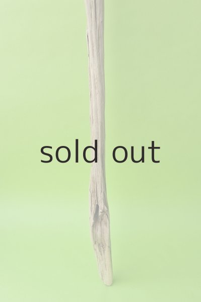 画像2: 幹流木 (2)