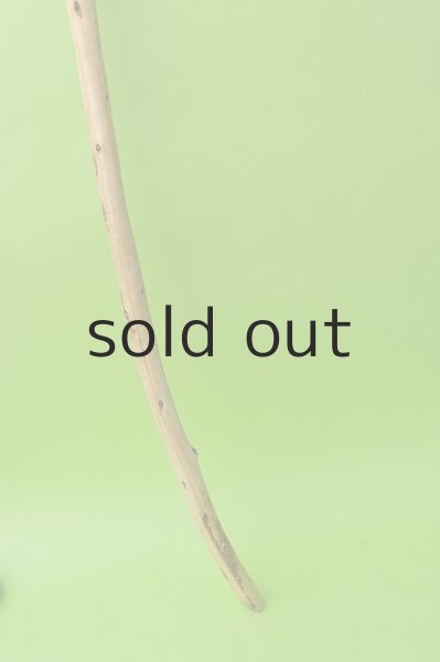 画像2: 棒流木・長尺 (2)