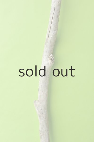 画像3: 幹流木 (3)