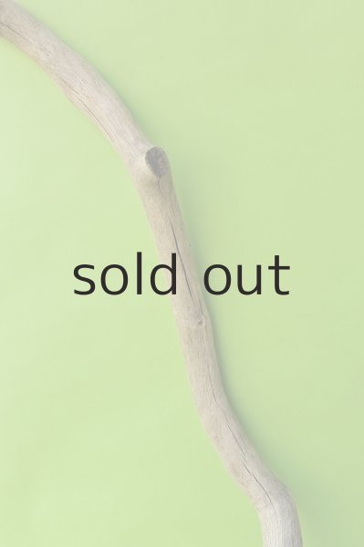 画像3: 幹流木 (3)