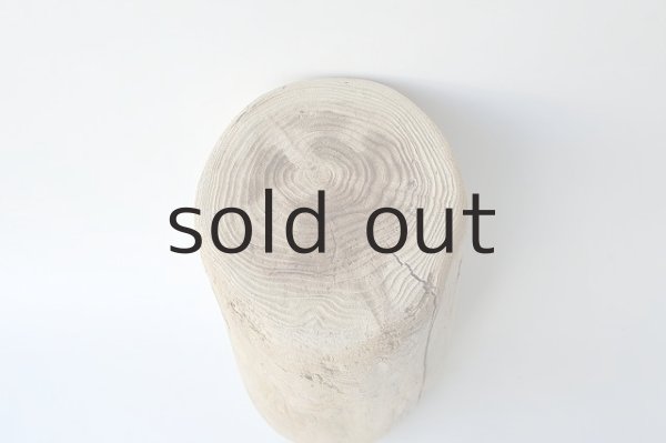 画像3: 幹流木・丸太 (3)