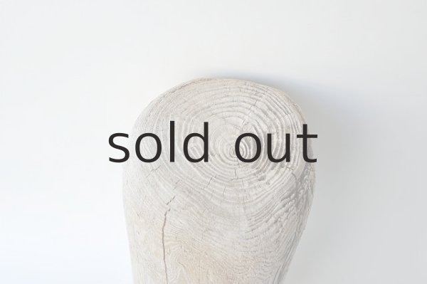 画像2: 幹流木・丸太 (2)