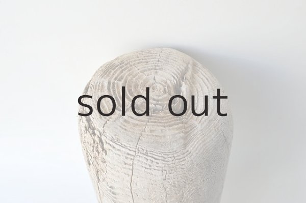 画像3: 幹流木・丸太 (3)