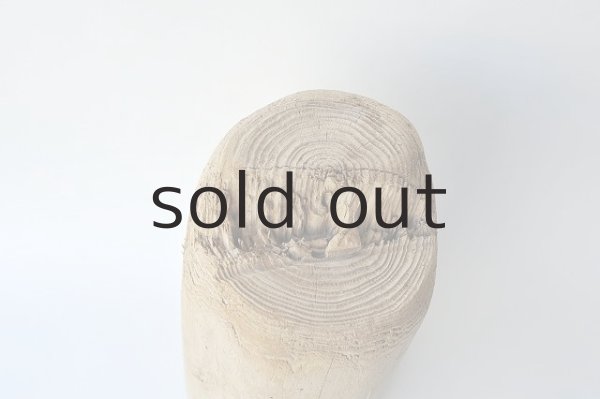 画像2: 幹流木・丸太 (2)