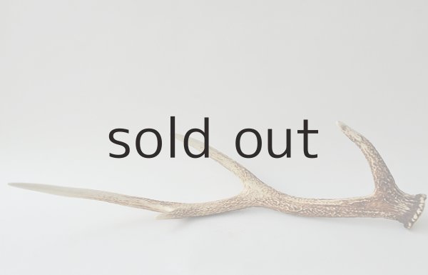 画像2: デコール用二ホンジカの角 (2)