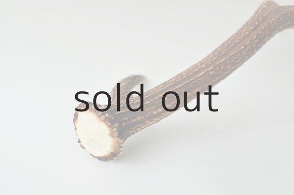 画像3: デコール用二ホンジカの角 (3)