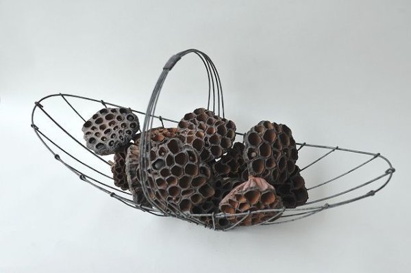 画像4: Dry plants for decor デコール用乾燥花托(蓮)【10個セット】*outlet* (4)