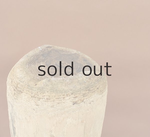 画像2: 大型 幹（丸太） (2)