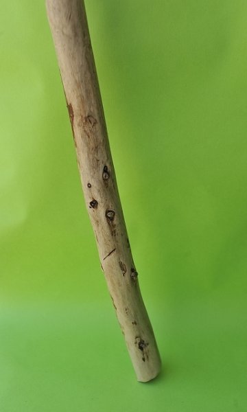 画像2: 棒流木 (2)