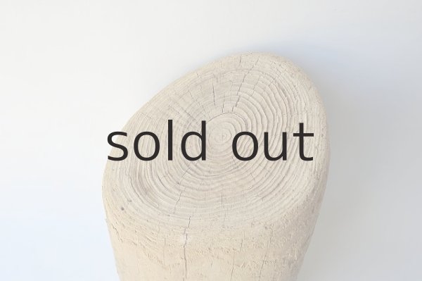 画像2: 幹流木・丸太 (2)