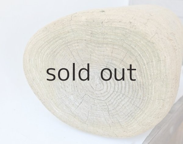 画像3: 幹流木・丸太 (3)