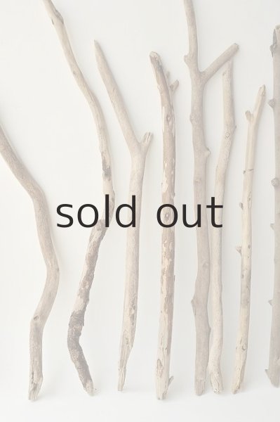 画像3: 小枝流木セット (3)