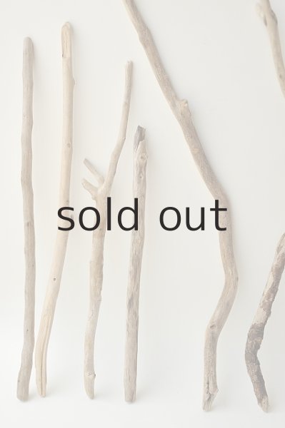 画像2: 小枝流木セット (2)