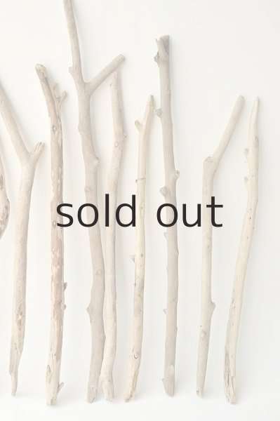 画像4: 小枝流木セット (4)