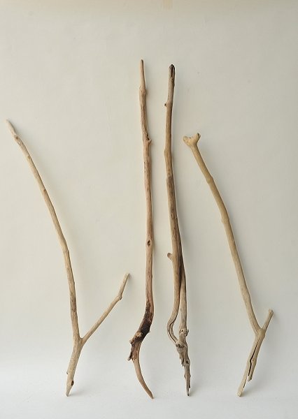 画像1: 小枝流木セット (1)