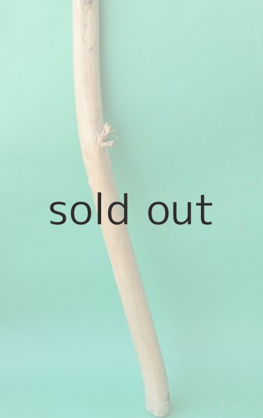 画像2: 棒流木・長尺 (2)