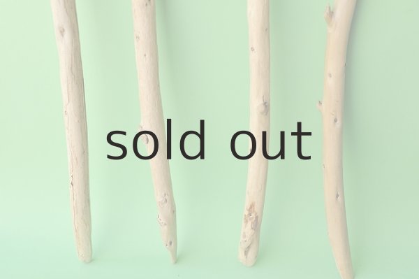 画像2: 棒流木セット (2)