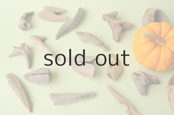 画像2: 変形流木セット (2)