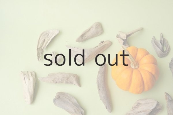 画像2: 変形流木セット (2)