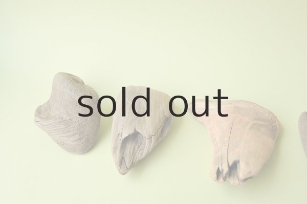 画像2: 変形流木セット (2)