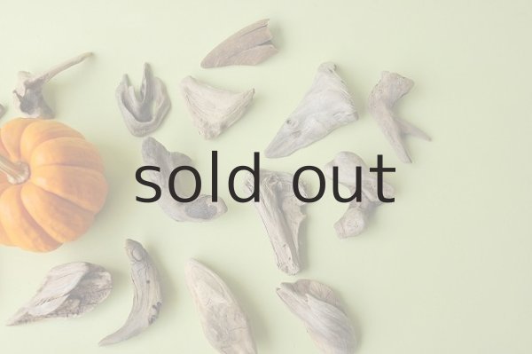 画像3: 変形流木セット (3)